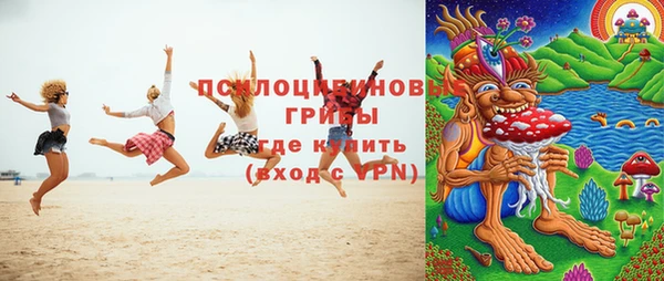 Альфа ПВП Пересвет