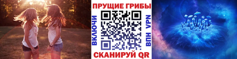 Купить закладки Чёрмоз Псилоцибиновые грибы Cubensis